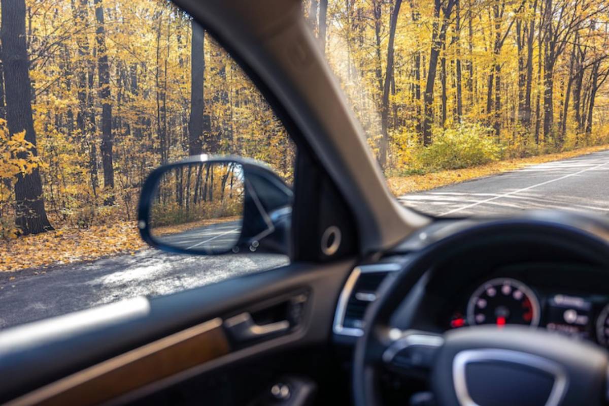 View from inside a car with a dashboard and steering wheel, overlooking a winding road bordered by vibrant autumn foliage.