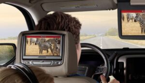 A person watches a Netflix show featuring zebras on a headrest screen while driving on an open road.